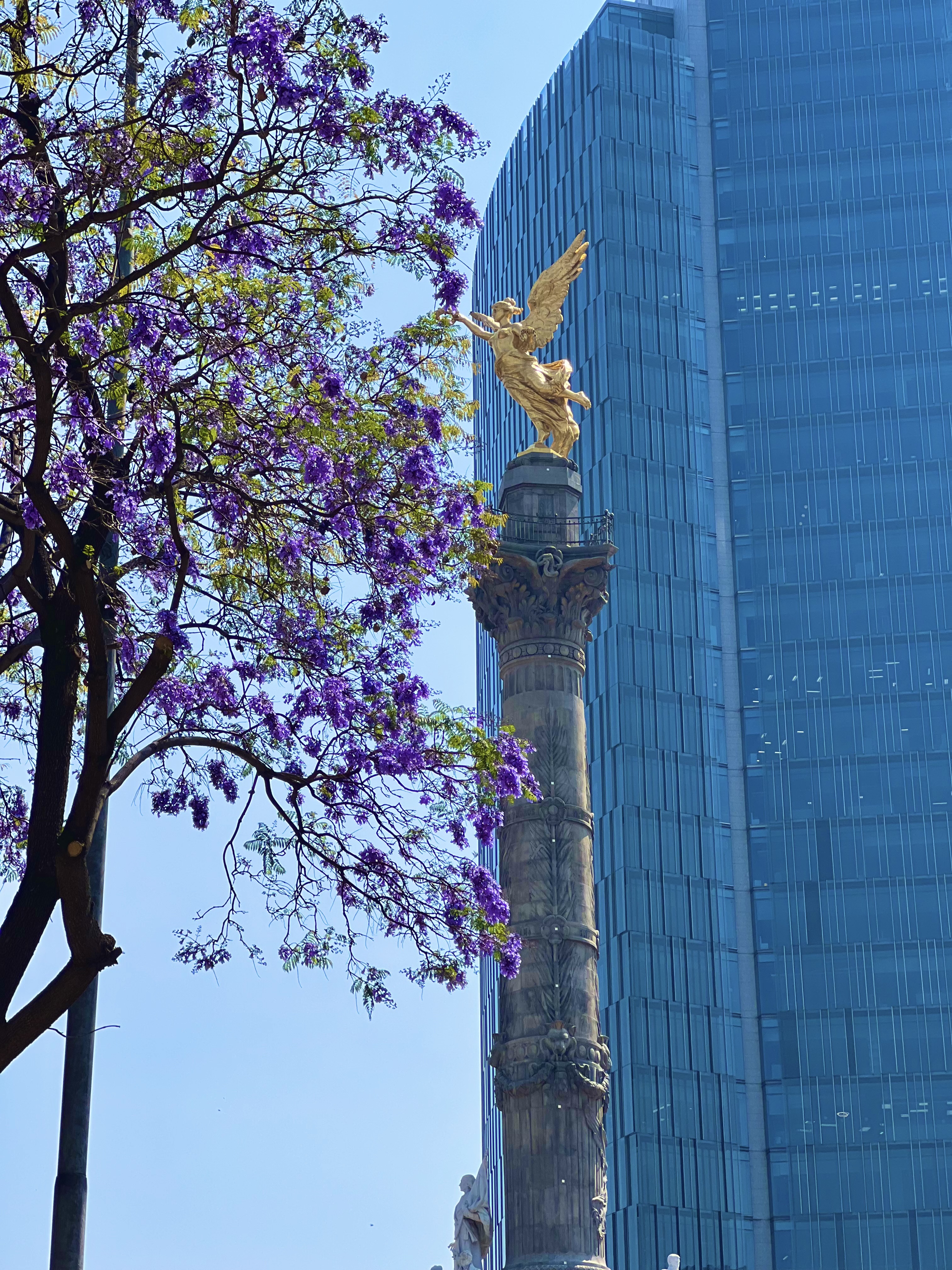 The Angel of Independence